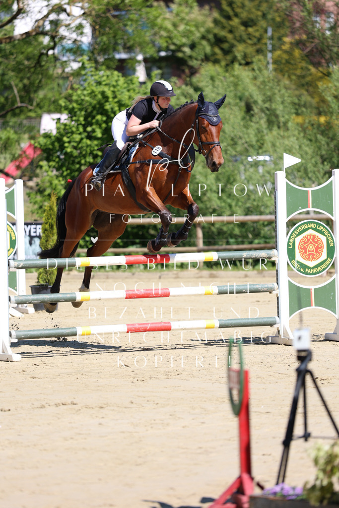 IMGS7163 | pl-fotografie