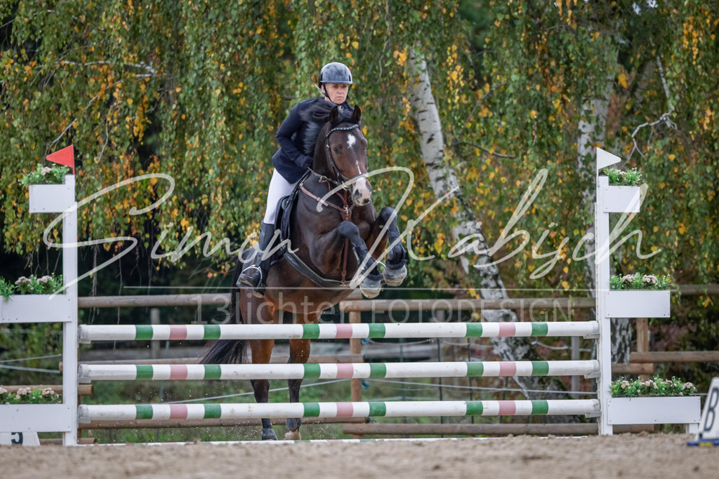 20251012-_3LI3989 | Tierfotografie Pferde, Hunde, Katzen, Haustiere.
Turnierfotografie Reitturniere, Reiten, Springreiten, Dressur in Hanau, dem Main-Kinzig-Kreis und dem Rhein-Main- Gebiet um Frankfurt