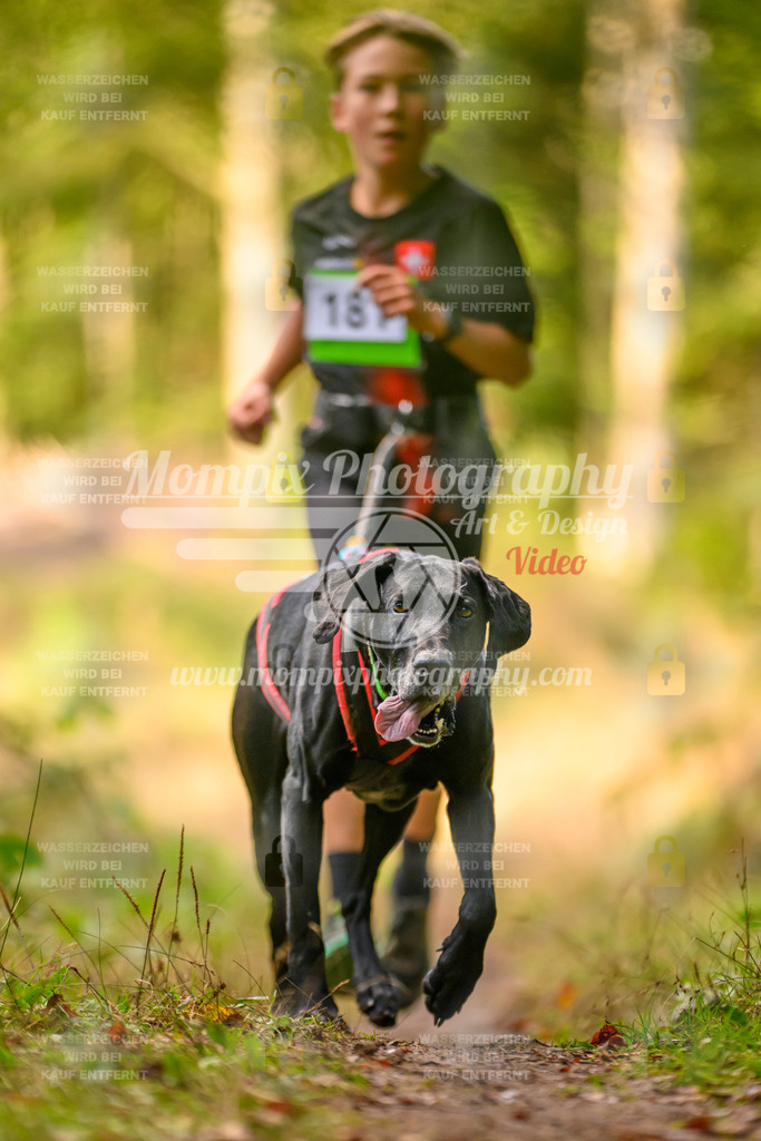 MompixPhotography_Yens2025_B3-232 | PayLife