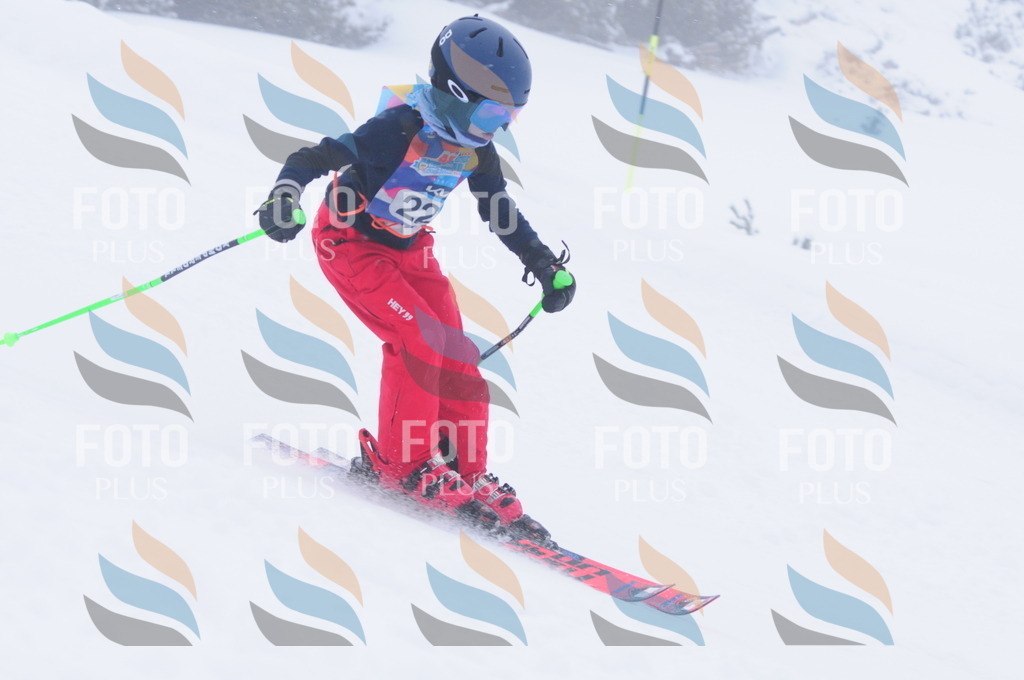 C2356 | holidayphoto