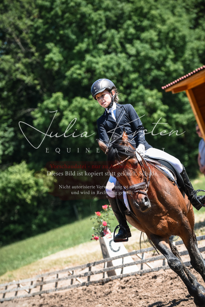 DSC_2870 | Pferde- und Turnierfotografie in Westsachsen. Pferdeportraits, Auftragszeichnungen und intuitive Kunst.
