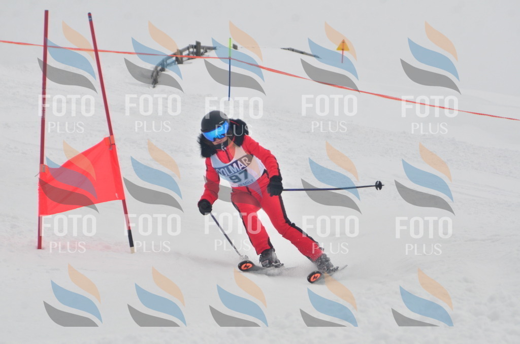 A5819 | holidayphoto