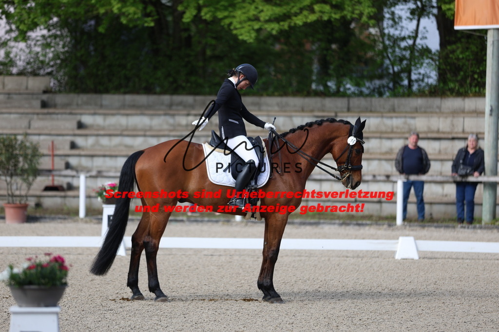 A40A3469 | lmwpictures - Realisiert mit Pictrs.com