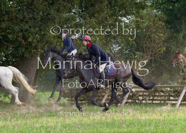 09-23 Jagd Perdöl_MCH9889_Marina Hewig | Fotografie, FotoArt, PferdesportArt, Pferdesportfotografie, Landschaftsfotografie, Reisefotografie, Reise, Pferde - Realisiert mit Pictrs.com