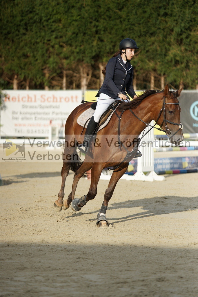 DSC01554 | equestrian-live-com