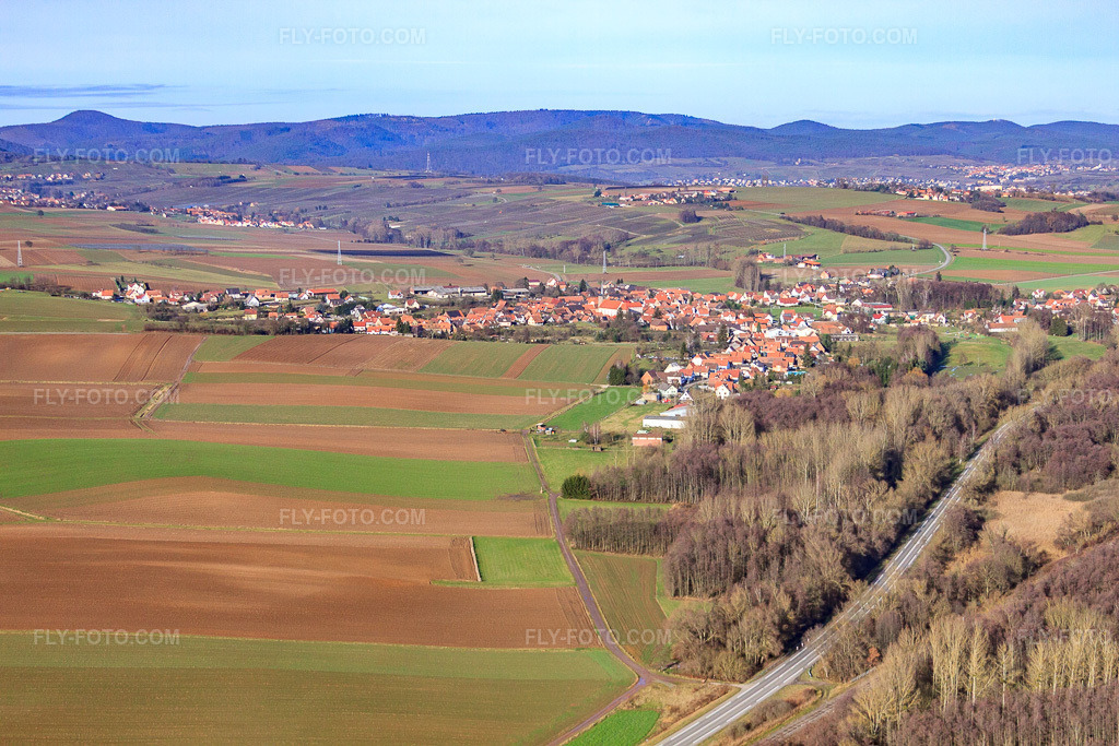 Aerial view: View of the town from the south in Riedseltz in the state Bas-Rhin, France. – Photo: IMG_48468.jpg taken on 12/11/2011 by Werner Riehm/FLY-FOTO.com – Resolution of the original: 4752 x 3168 px