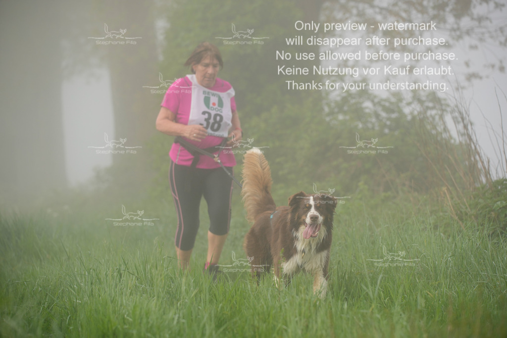 SA_GL2-234 | stephaniefillaphotographie - Realisiert mit Pictrs.com