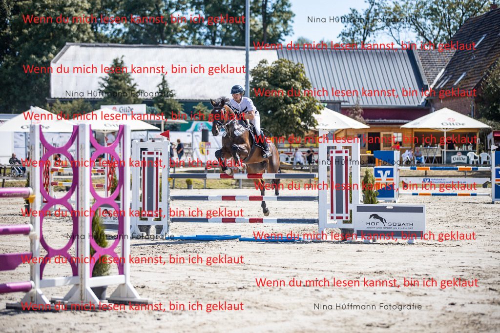 BK1A6311 | Turnierbilder Turnierfotos Nina Hüffmann Turnierfotografie Pferdefotografie Tierzeichnung Haustierzeichnung Pferdezeichnung Hundezeichnung Videograf  - Realisiert mit Pictrs.com