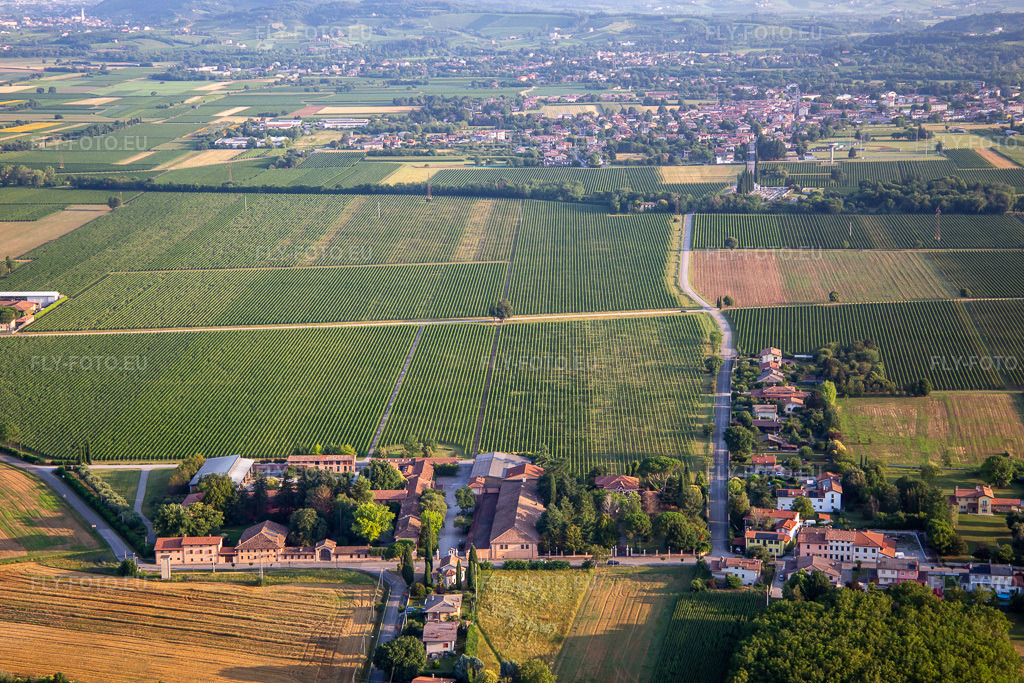 Vue aérienne: Tenuta Villanova à Farra d’Isonzo dans le département Gorizia, Italie – .Photo: IMG_137592.jpg prise le 16/07/2023 par Werner Riehm/FLY-FOTO.eu – Résolution de l'original: 5472 x 3648 px – Tenuta Villanova