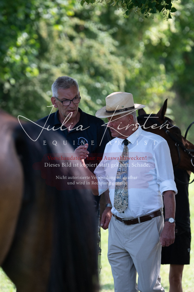 DSC_0605 | Pferde- und Turnierfotografie in Westsachsen. Pferdeportraits, Auftragszeichnungen und intuitive Kunst.