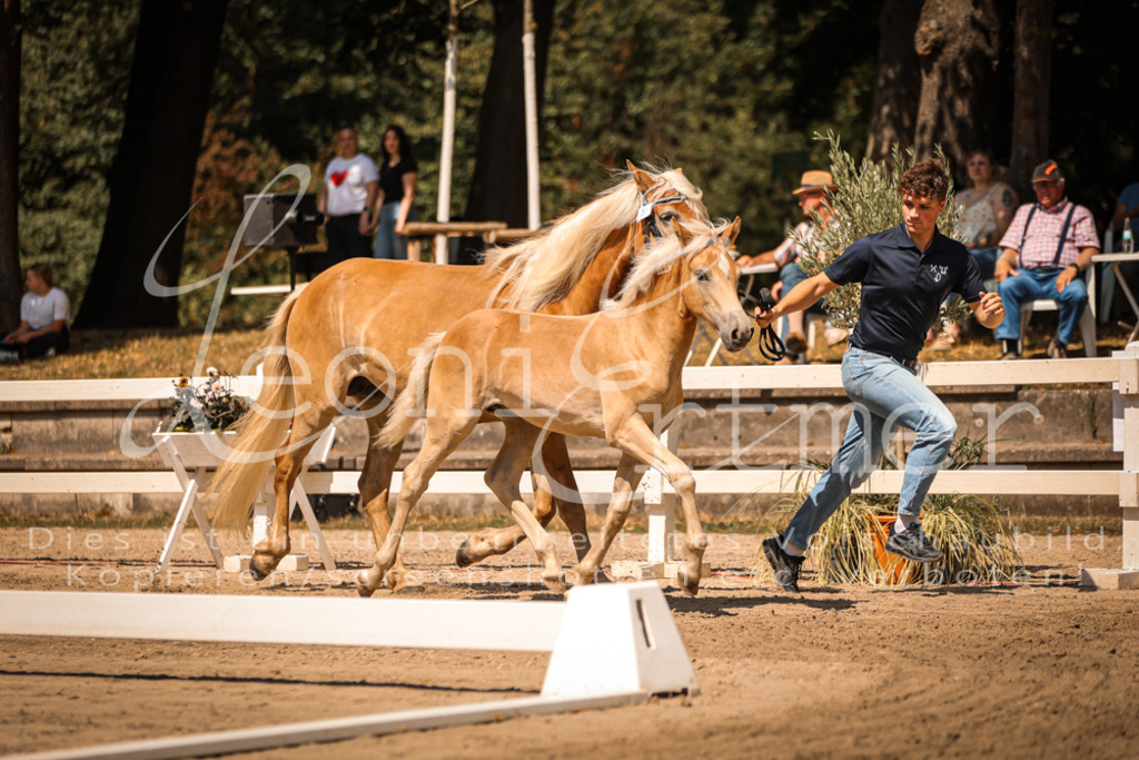 06.DoH00018 | Leoni Ertmer Photography - Realisiert mit Pictrs.com