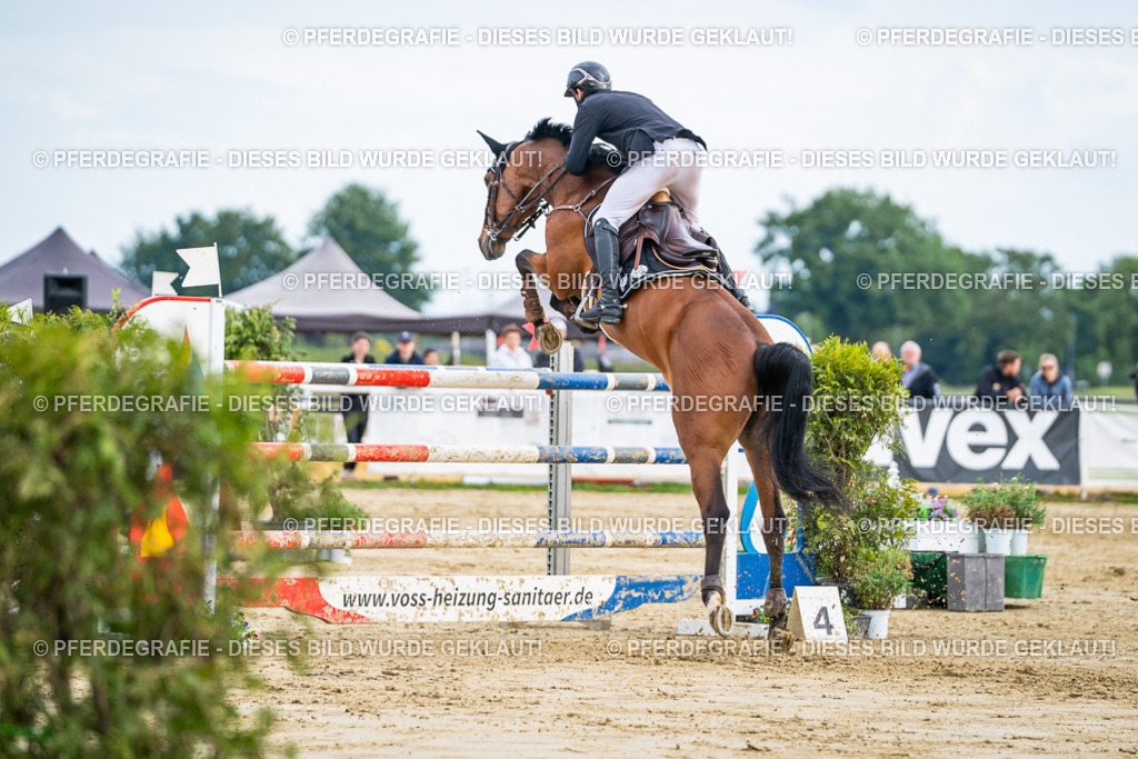 DSC07222 | Pferdegrafie