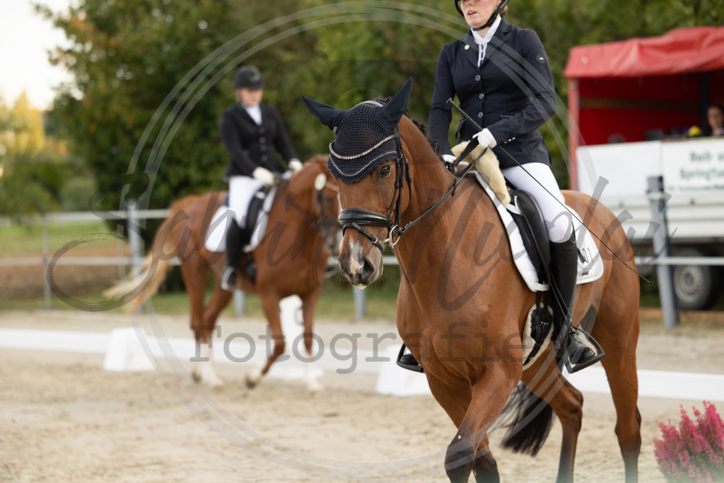 994A0102 | sabrinanicolaifotografie - Realisiert mit Pictrs.com