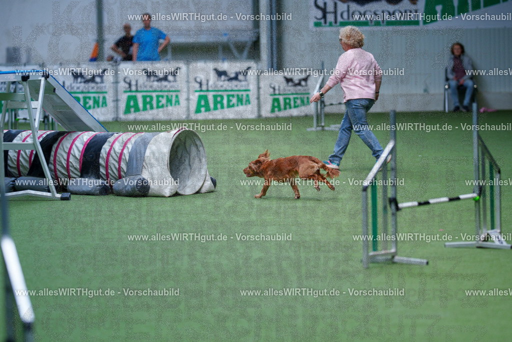 @allesWIRTHgut_Tierfotografie - www.allesWIRTHgut.de - 2604261117-7R509429 | Professionelle Tierfotografie in Mönchengladbach von Daniel Wirth (allesWIRTHgut). Liebevolle & natürliche Bilder von Hunden & Katzen für unvergessliche Erinnerungen.