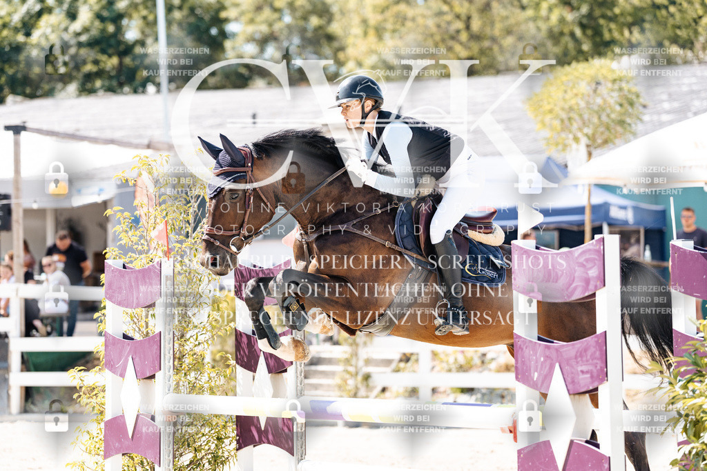 CK909148 | Turnierfotografie Pferdefotografie Trier Rheinland-Pfalz Pferdesport Reitsport Tierfotografie Sportfotografie Pferdevideo Pferdevideografie Equestrianvideography equestrianphotography  - Realisiert mit Pictrs.com