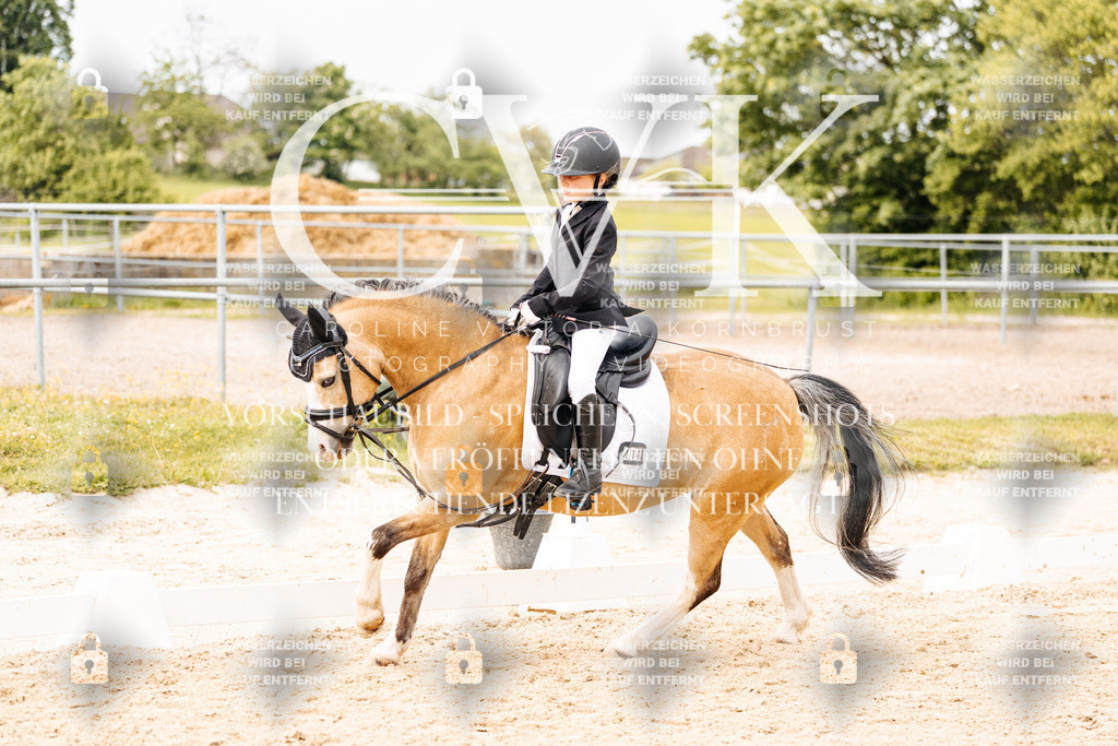CK904665 | Turnierfotografie Pferdefotografie Trier Rheinland-Pfalz Pferdesport Reitsport Tierfotografie Sportfotografie Pferdevideo Pferdevideografie Equestrianvideography equestrianphotography  - Realisiert mit Pictrs.com