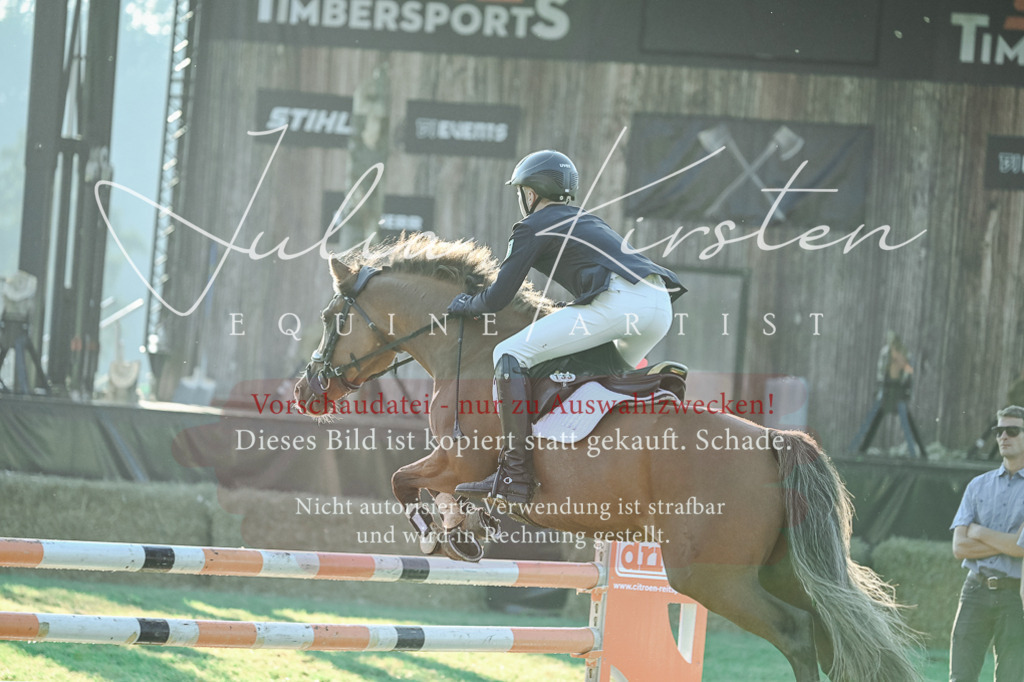 DSC_4122 | Pferde- und Turnierfotografie in Westsachsen. Pferdeportraits, Auftragszeichnungen und intuitive Kunst.