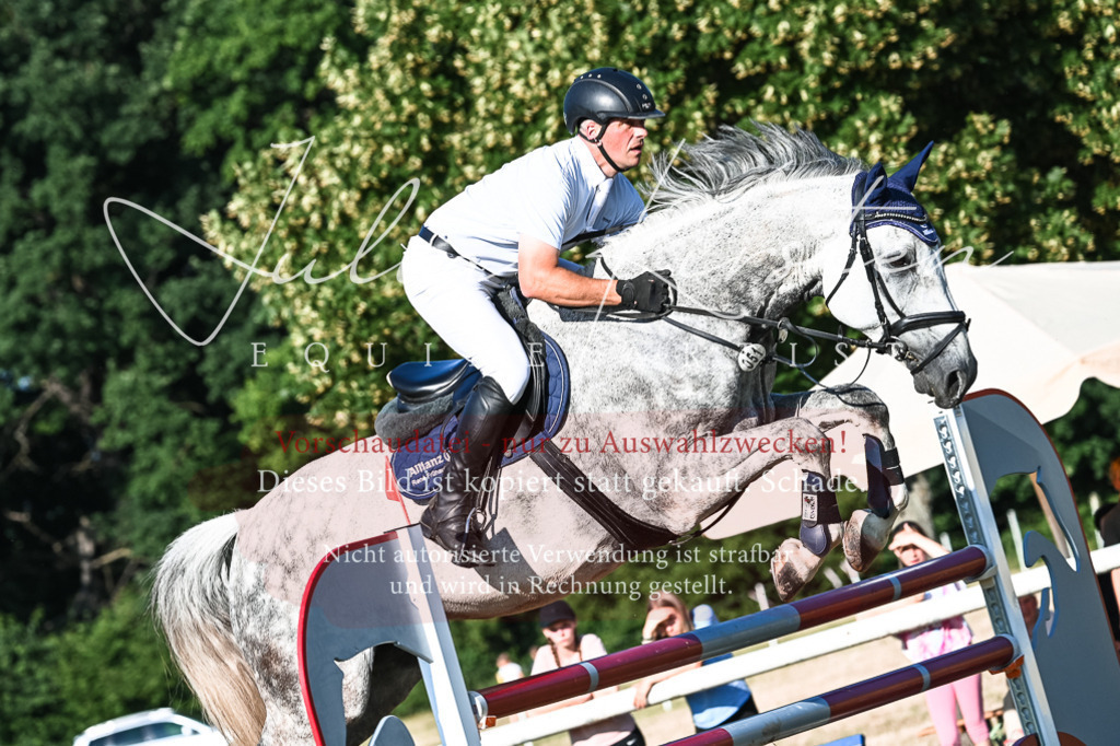 DSC_2808 | Pferde- und Turnierfotografie in Westsachsen. Pferdeportraits, Auftragszeichnungen und intuitive Kunst.
