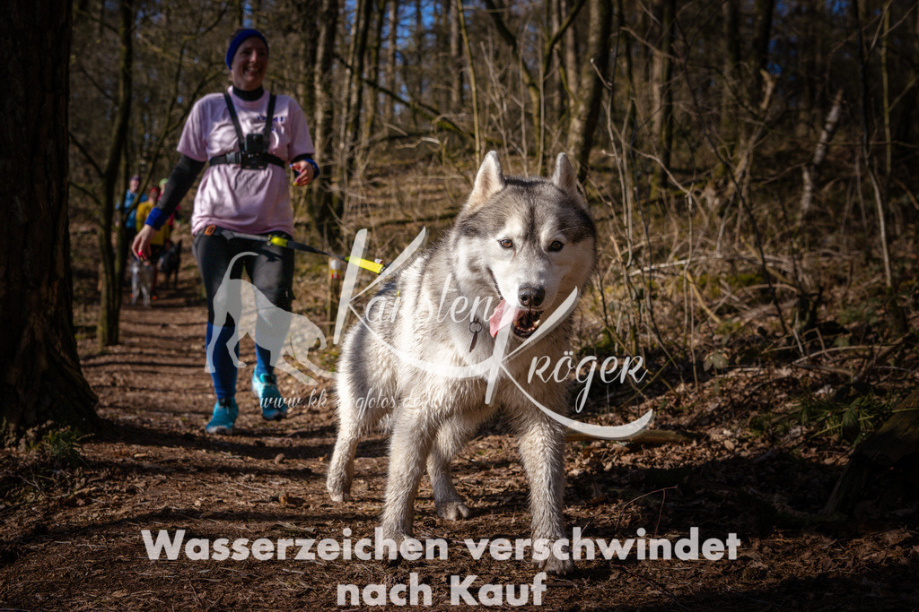 0915_ZZ96804 | kk-dogfotos