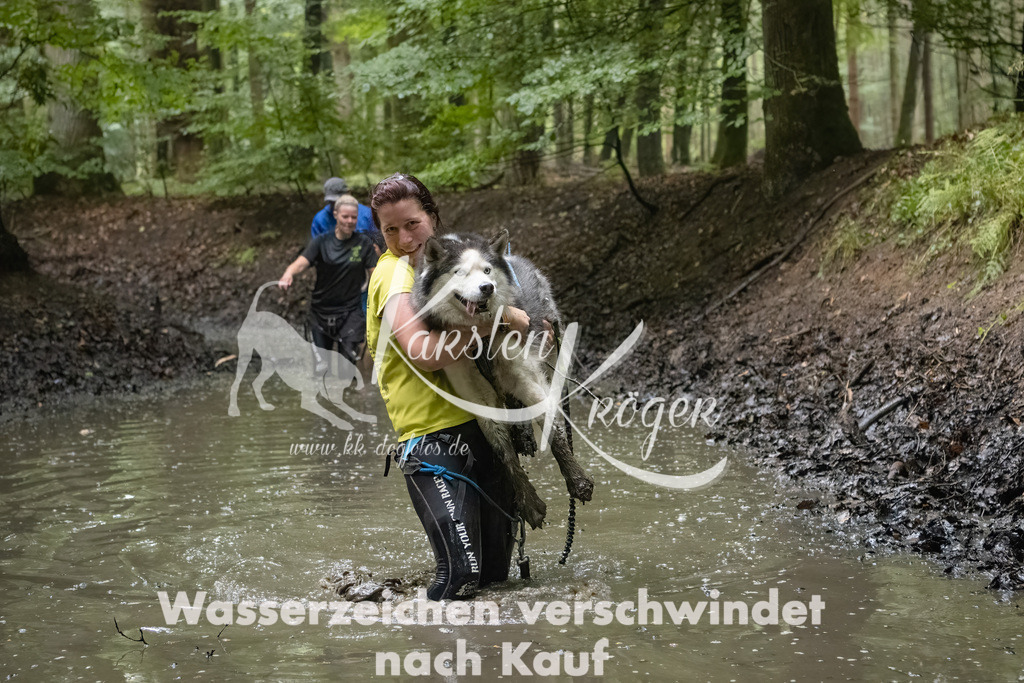 0956_ZZ91551-Bearbeitet | kk-dogfotos