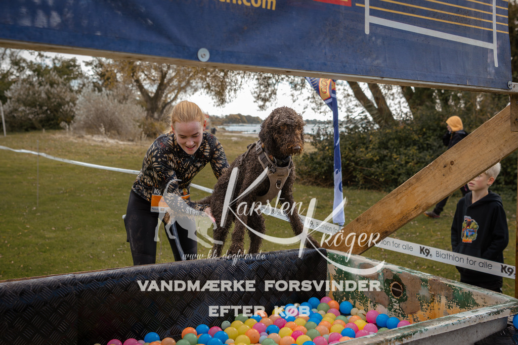 1338_ZZ91706-2 | kk-dogfotos