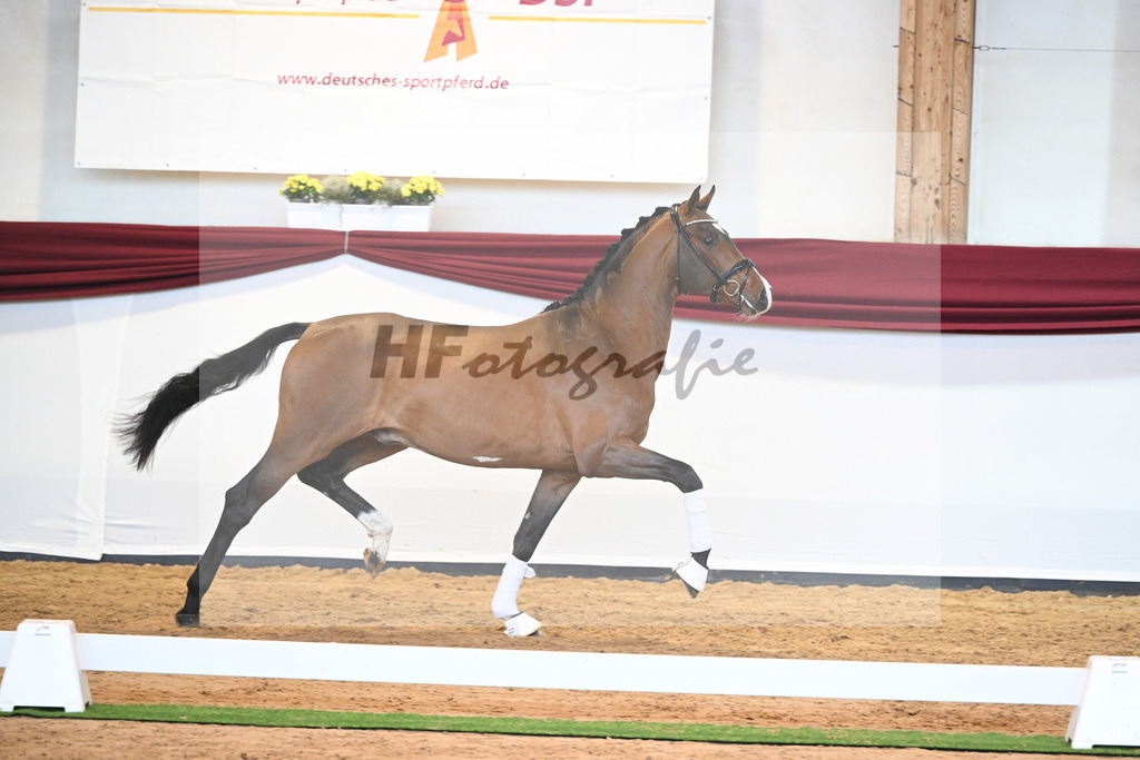 Kat-Nr. 23 v. Don Schufro_Raumanns_66220555 | hf-fotografie - Realisiert mit Pictrs.com