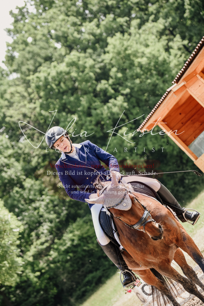 DSC_1214 | Pferde- und Turnierfotografie in Westsachsen. Pferdeportraits, Auftragszeichnungen und intuitive Kunst.