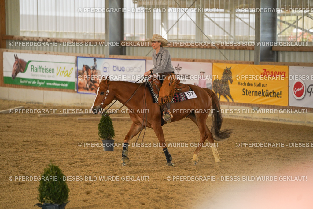 DSC04607 | Pferdegrafie