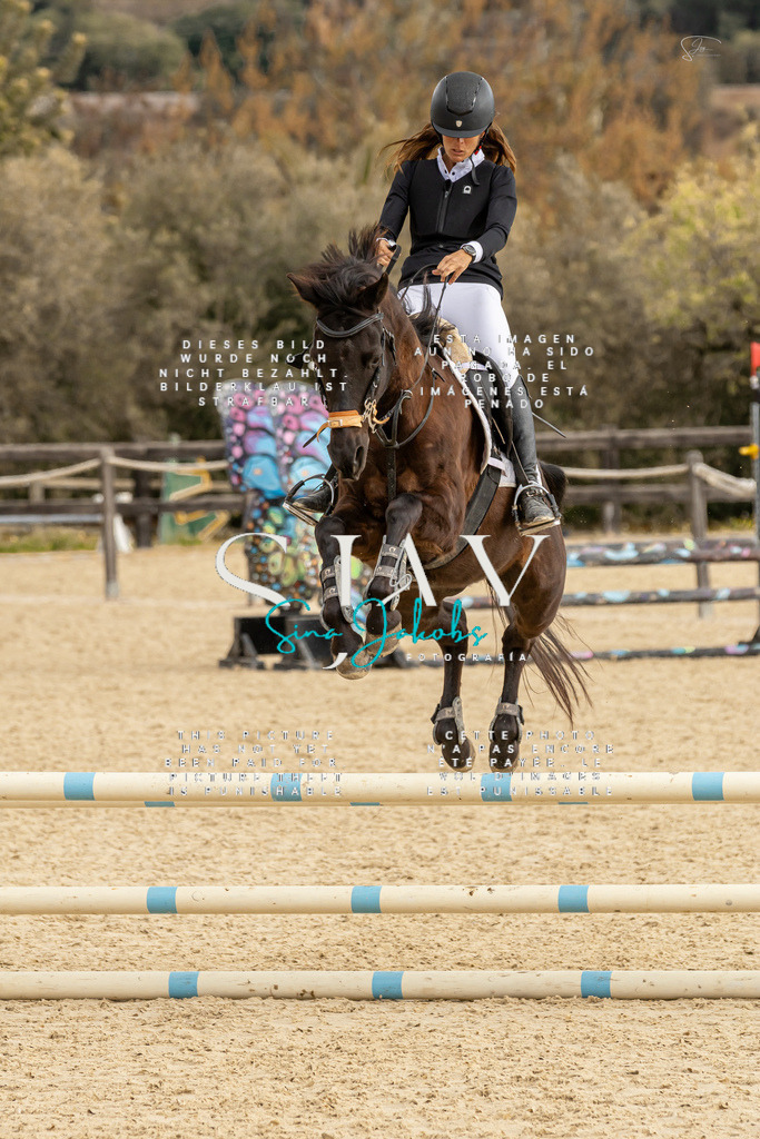 IMG_4542 | s-jay-photography - Realisiert mit Pictrs.com