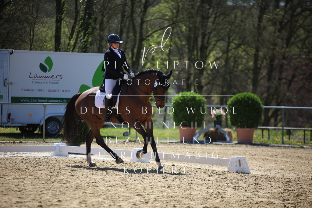 IMGT1429 | pl-fotografie