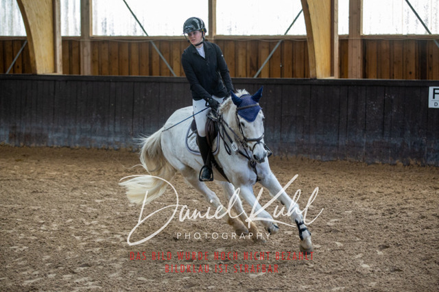 IMG_1878 | Turniersportfotografie; Pferdefotografie; Dressurfotografie