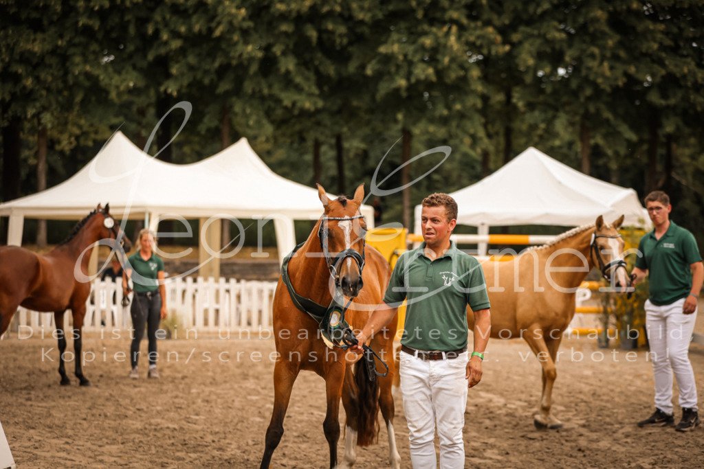 08.So00033 | Leoni Ertmer Photography - Realisiert mit Pictrs.com