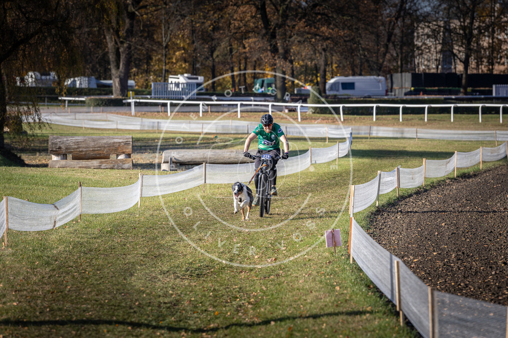 CaniXpix_DV3A3759 | Hundefotografie, Tierfotograf, Pfotenfotografie, Fotoshooting Hund, Hunde Portrait, Hundesport, Hundeportraits, Heideshooting, Hunde, Sportfotograf, Hundefotograf, Turnierhundsport, THS,  - Realisiert mit Pictrs.com