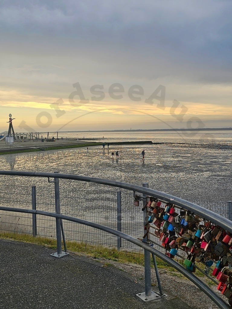 Nordsee Momente pur Nordseeküste Naturaufnahmen  | Nordsee in all ihrer Natürlichkeit  - Realisiert mit Pictrs.com