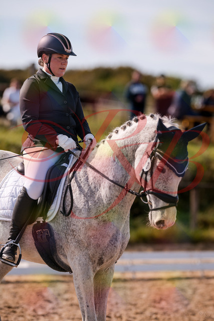 2026_10_03_Siefer-Hof_122640_Z81_26234764 | Professionelle Reitsport-, Turnier- und Eventfotografie von Robert Broda. Galerien mit ausgewählten und bearbeiteten Bildern direkt online ansehen und bestellen.