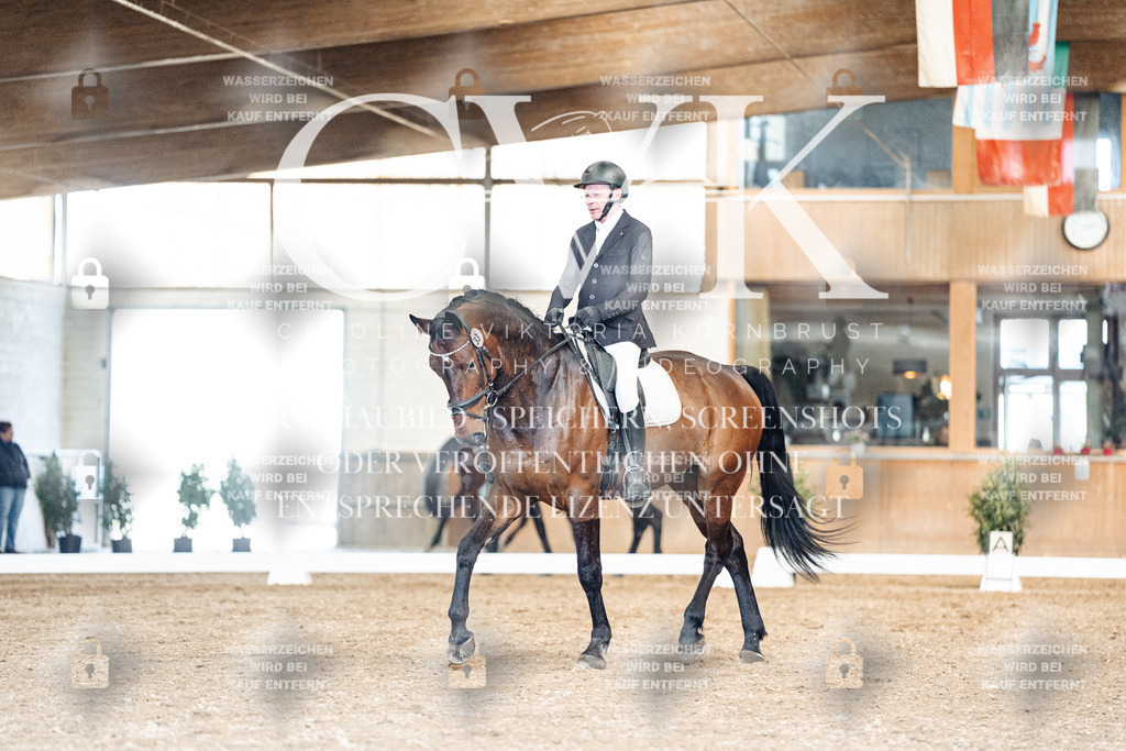 CK901253 | Turnierfotografie Pferdefotografie Trier Rheinland-Pfalz Pferdesport Reitsport Tierfotografie Sportfotografie Pferdevideo Pferdevideografie Equestrianvideography equestrianphotography  - Realisiert mit Pictrs.com