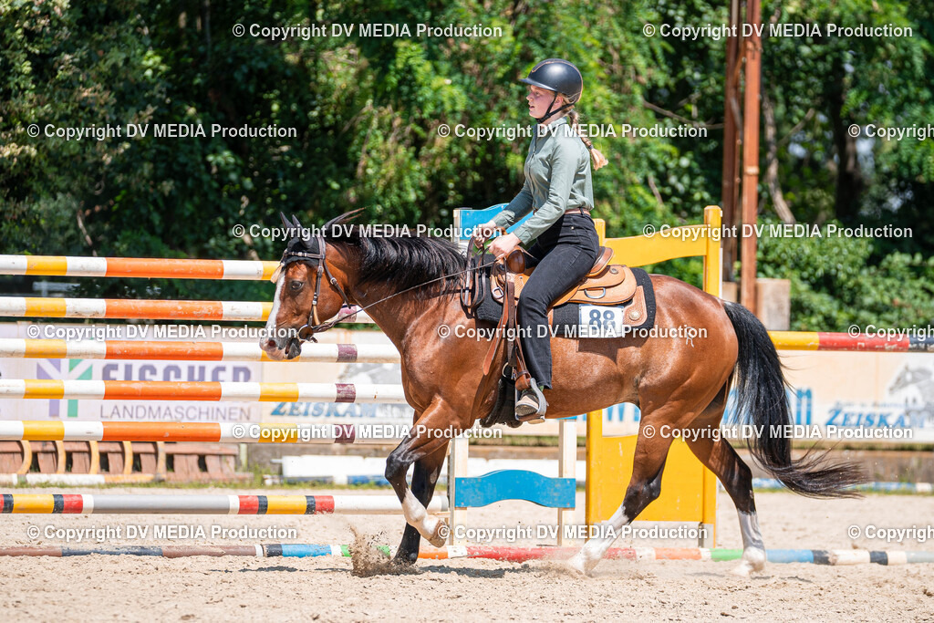 Zeiskam Tag 1-568 | dv-media-shop - Realisiert mit Pictrs.com