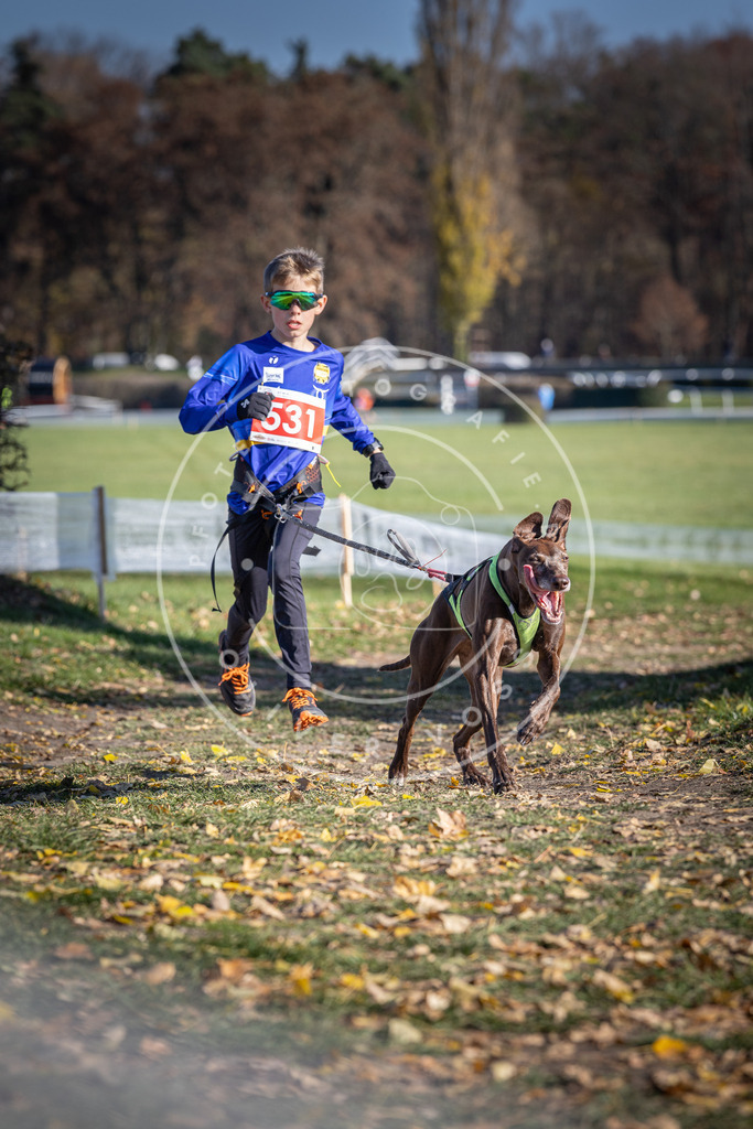 CaniXpix_DV3A8260 | Hundefotografie, Tierfotograf, Pfotenfotografie, Fotoshooting Hund, Hunde Portrait, Hundesport, Hundeportraits, Heideshooting, Hunde, Sportfotograf, Hundefotograf, Turnierhundsport, THS,  - Realisiert mit Pictrs.com