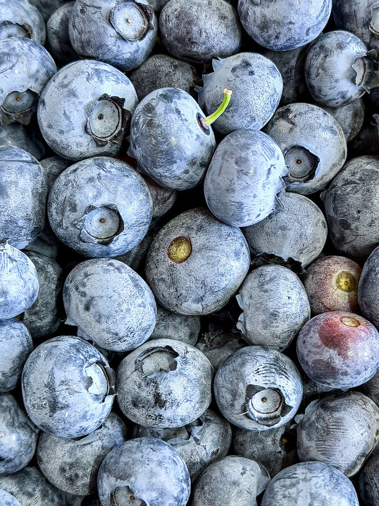 Blueberry Texture | Botanisches Blaubeeren Makro Wandbild | Kühle Eleganz und pure Frische aus der Natur. Diese hochaufgelöste Makro-Nahaufnahme von reifen Blaubeeren fasziniert durch ihre tiefe, blau-violette Farbästhetik und die feine, organische Textur. Als großformatiges Wandbild (besonders farbintensiv als spiegelnder Gallery-Print unter Acrylglas oder auf Leinwand) bringt dieses botanische Kunstwerk modernen Stil in deine Küche, dein Esszimmer oder deine Geschäftsräume. - Realisiert mit Pictrs.com