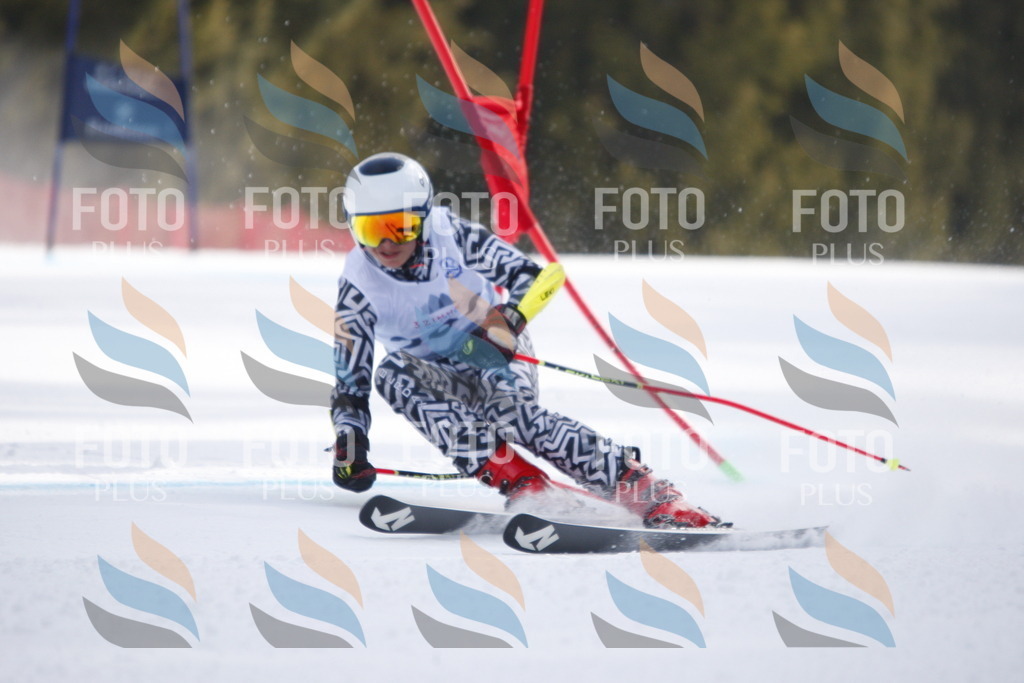 D8059 | holidayphoto