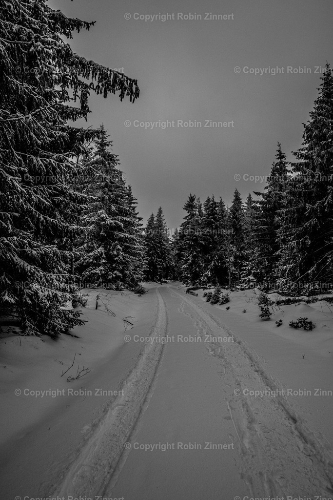 Instawalk_Seehaus-37 | Robin Zinnert - Realisiert mit Pictrs.com