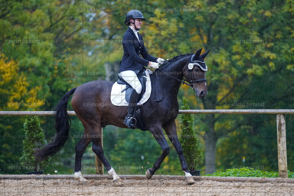 20221008-FAH02231 | Diessen am Ammersee, 2022, Dressur- und Springturnier, Reitsportbilder, Turnierfotografen Bayern, Pferdefotografen, Fotoagentur Herrmann, Turnierbilder