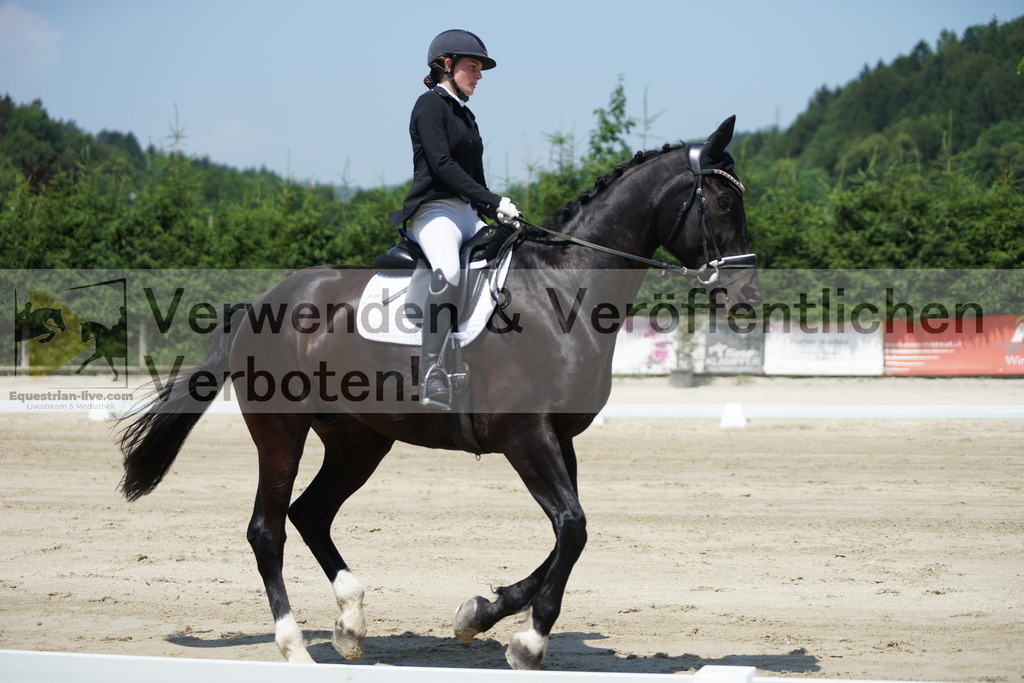 DSC04843 | equestrian-live-com