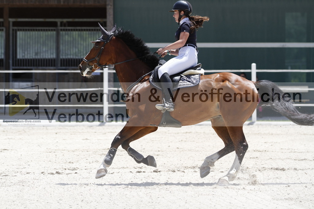 _MG_7011 | equestrian-live-com