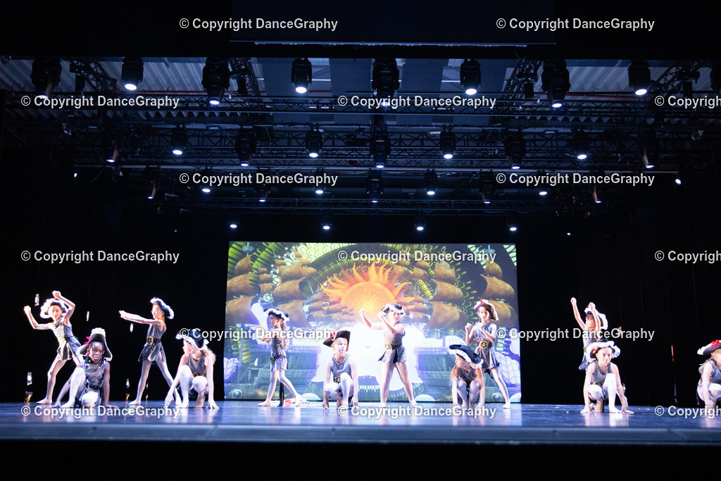 GPHY5096 | DanceGraphy - Realisiert mit Pictrs.com