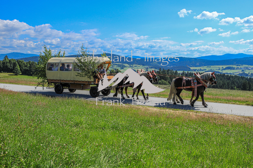 OE7A9803 | Medien- Sport- Entertainmentfotos