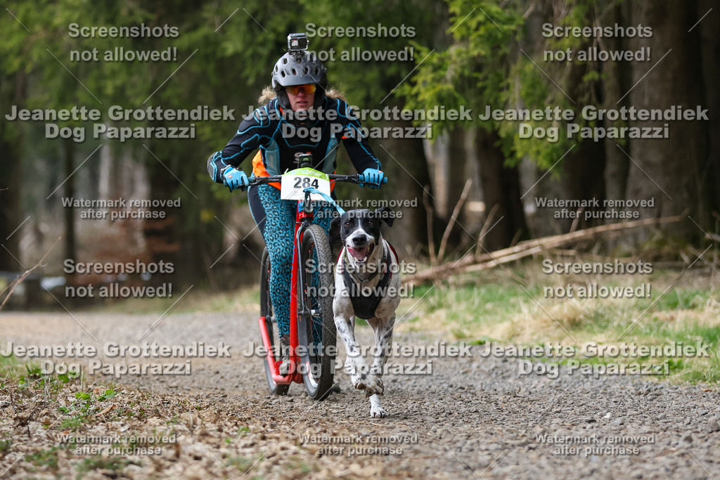 Dog Paparazzi - VCC26-528 | Dog Paparazzi Jeanette Grottendiek Fotografie & Videografie - Realisiert mit Pictrs.com