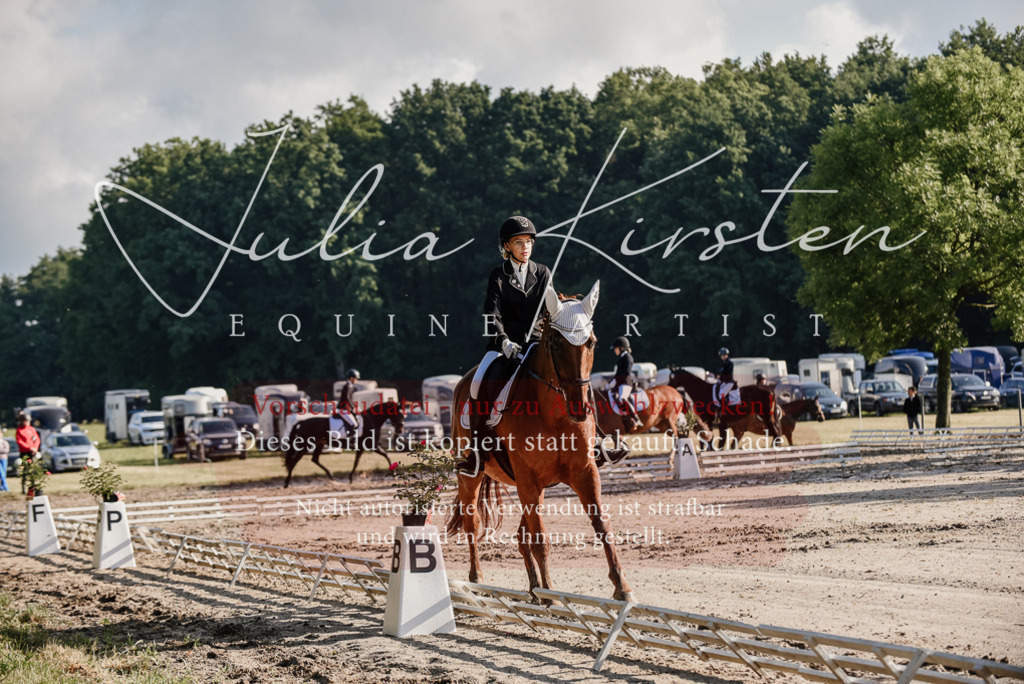 DSC_7736 | Pferde- und Turnierfotografie in Westsachsen. Pferdeportraits, Auftragszeichnungen und intuitive Kunst.