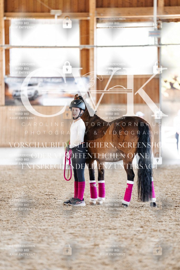 CK907141 | Turnierfotografie Pferdefotografie Trier Rheinland-Pfalz Pferdesport Reitsport Tierfotografie Sportfotografie Pferdevideo Pferdevideografie Equestrianvideography equestrianphotography  - Realisiert mit Pictrs.com