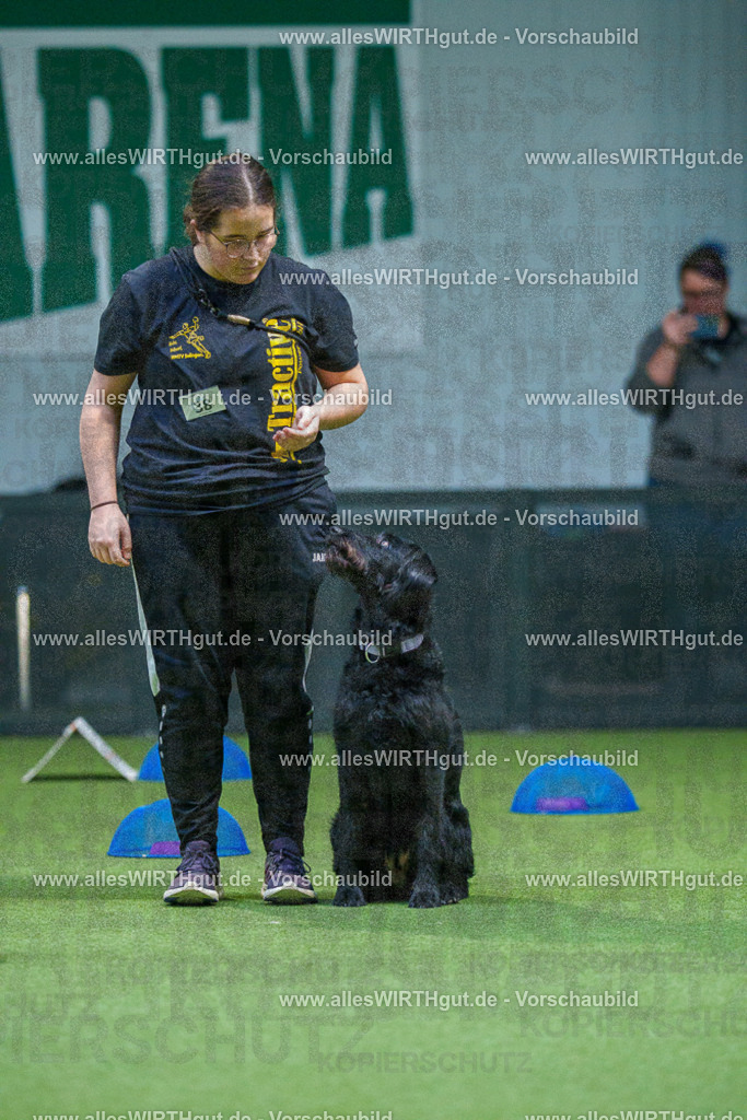 7R501141 | Professionelle Tierfotografie in Mönchengladbach von Daniel Wirth (allesWIRTHgut). Liebevolle & natürliche Bilder von Hunden & Katzen für unvergessliche Erinnerungen.